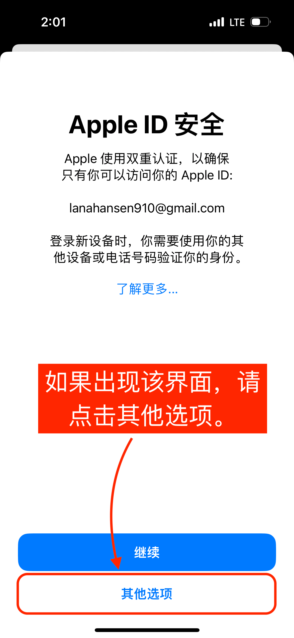 旧版 Apple ID 安全提示，包含继续和其他选项两个入口
